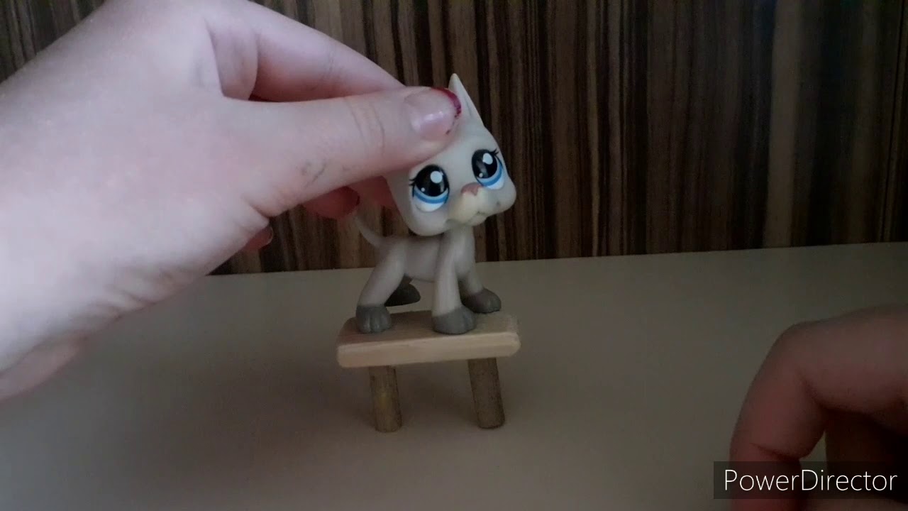 lps DIY (jak si vyrobit park pro lps)