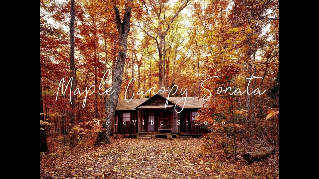 Maple Canopy Sonata
