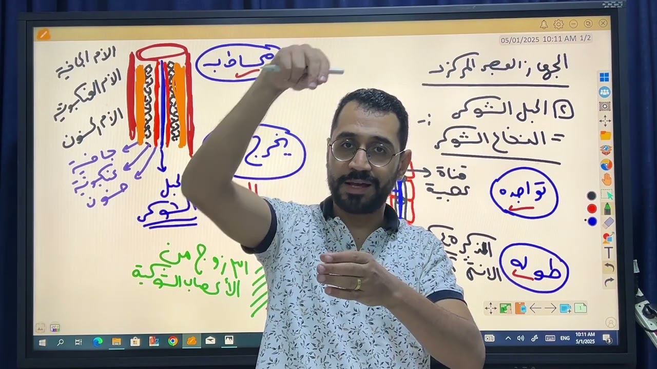 شرح الدرس الاخير - الاحساس فى الكائنات الحيه - الحبل الشوكى والجهاز العصبى الطرفى -مستر بولا ميخائيل