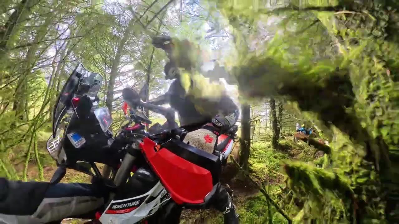 Horse Trails and Wet Mud Mt Wexico 2025