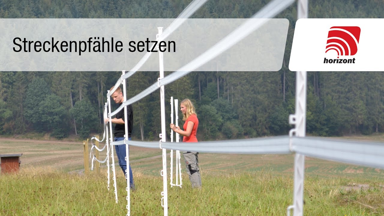 Weidezaun - Zaunpf&auml;hle setzen (Mobilzaun)