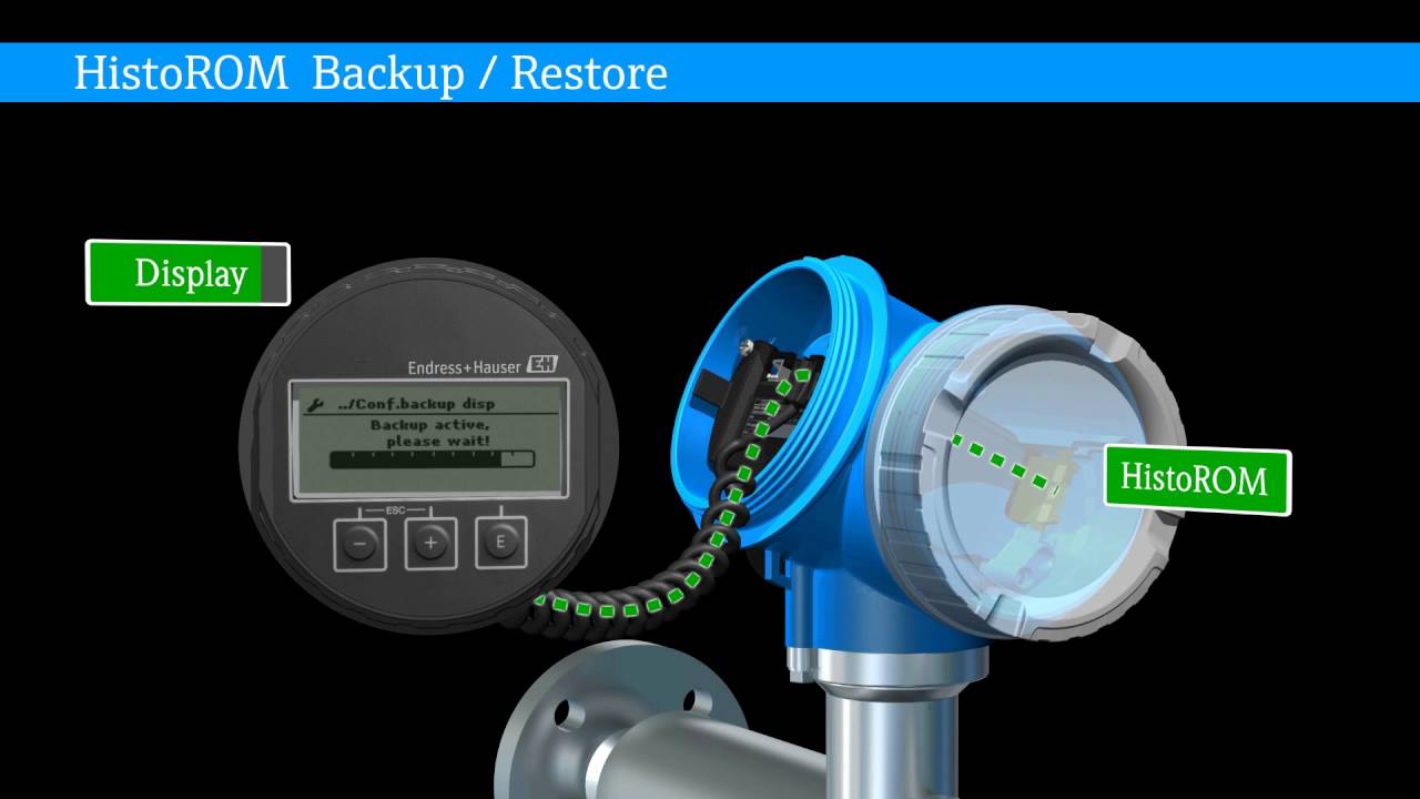 HistoROM data management concept for level and flow instruments
