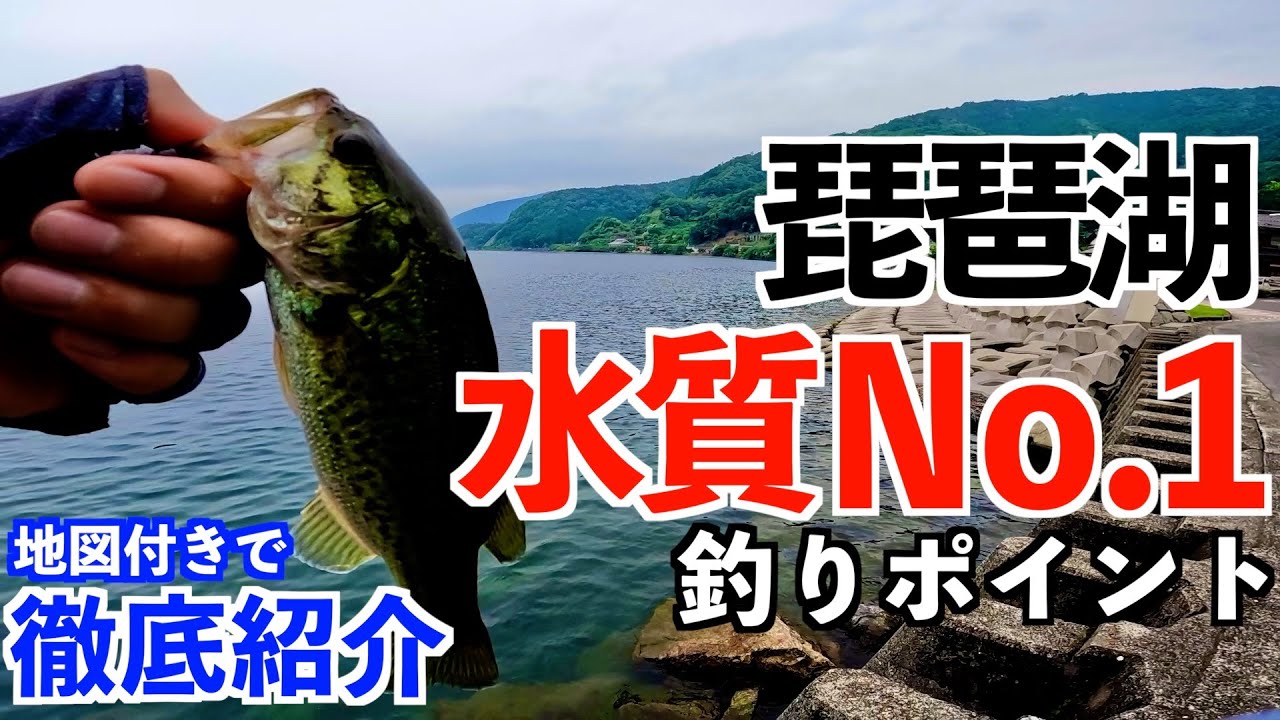【琵琶湖バス釣り】水中が丸見え！生命感あふれる釣りポイントを地図付きで徹底解説！