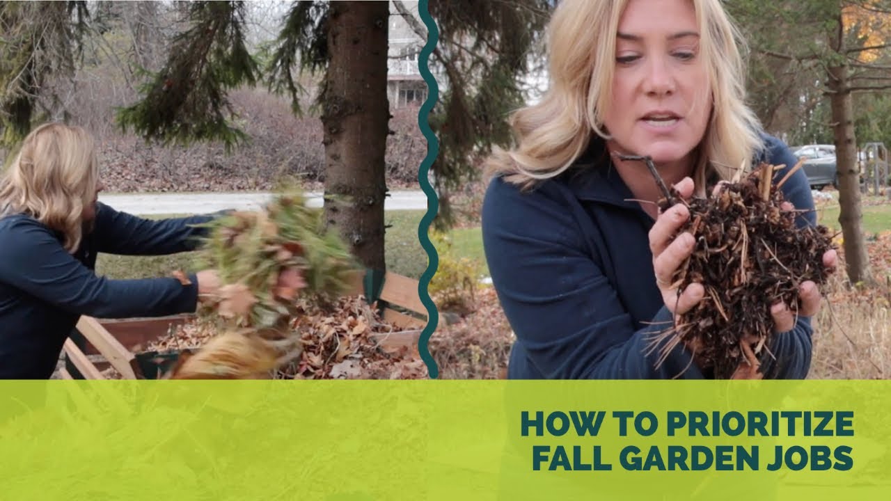 How to prioritize fall garden cleanup &asymp;|&asymp; Reclaim a weedy area