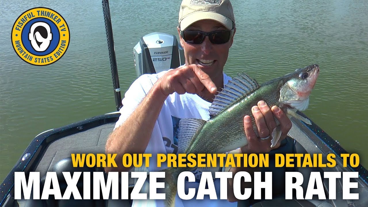 Summer Finesse Walleye details (walleye fishing)