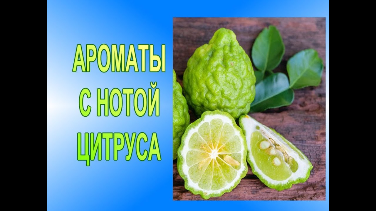 ♥АРОМАТЫ С НОТОЙ ЦИТРУСА♥ ТАКИЕ РАЗНЫЕ ЦИТРУСЫ: ЛАЙМ, ЛИМОН, ГРЕЙПФРУТ, БЕРГАМОТ, АПЕЛЬСИН, МАНДАРИН