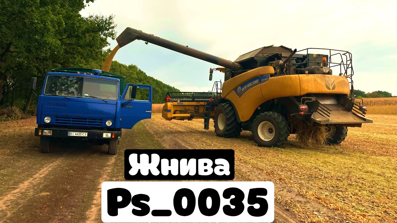 Комбайна не купуєм☹️чому?жнивуєм далі, де протеїн?😱