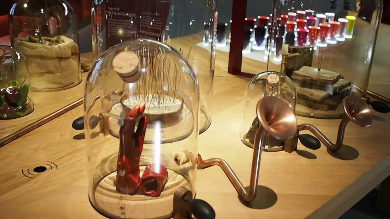 Inside the Cité du Vin, Bordeaux