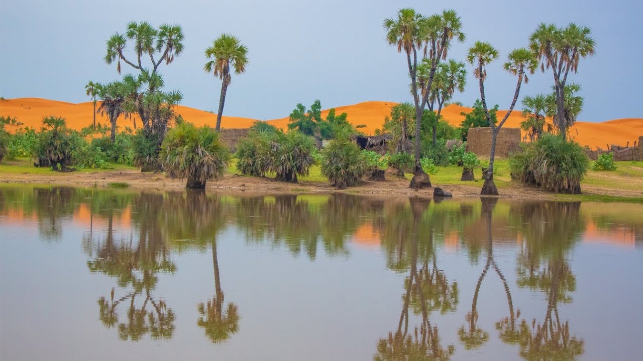 My Sahel Series: A Trip to Tulotulo Oases and Sand Dunes|| Yusufari Desert, Yobe State