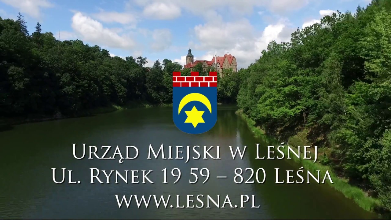 Gmina Leśna