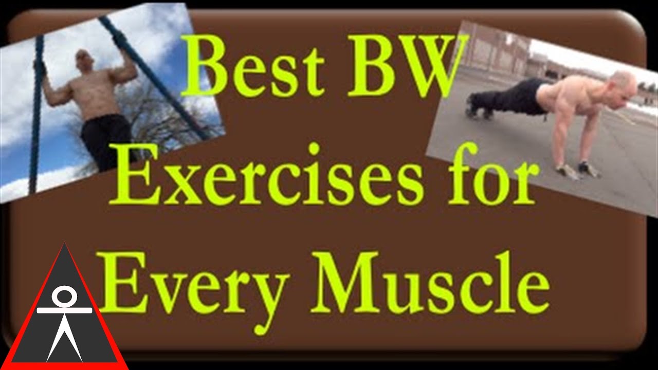 The Best Body Weight Exercises to Work Every Muscle