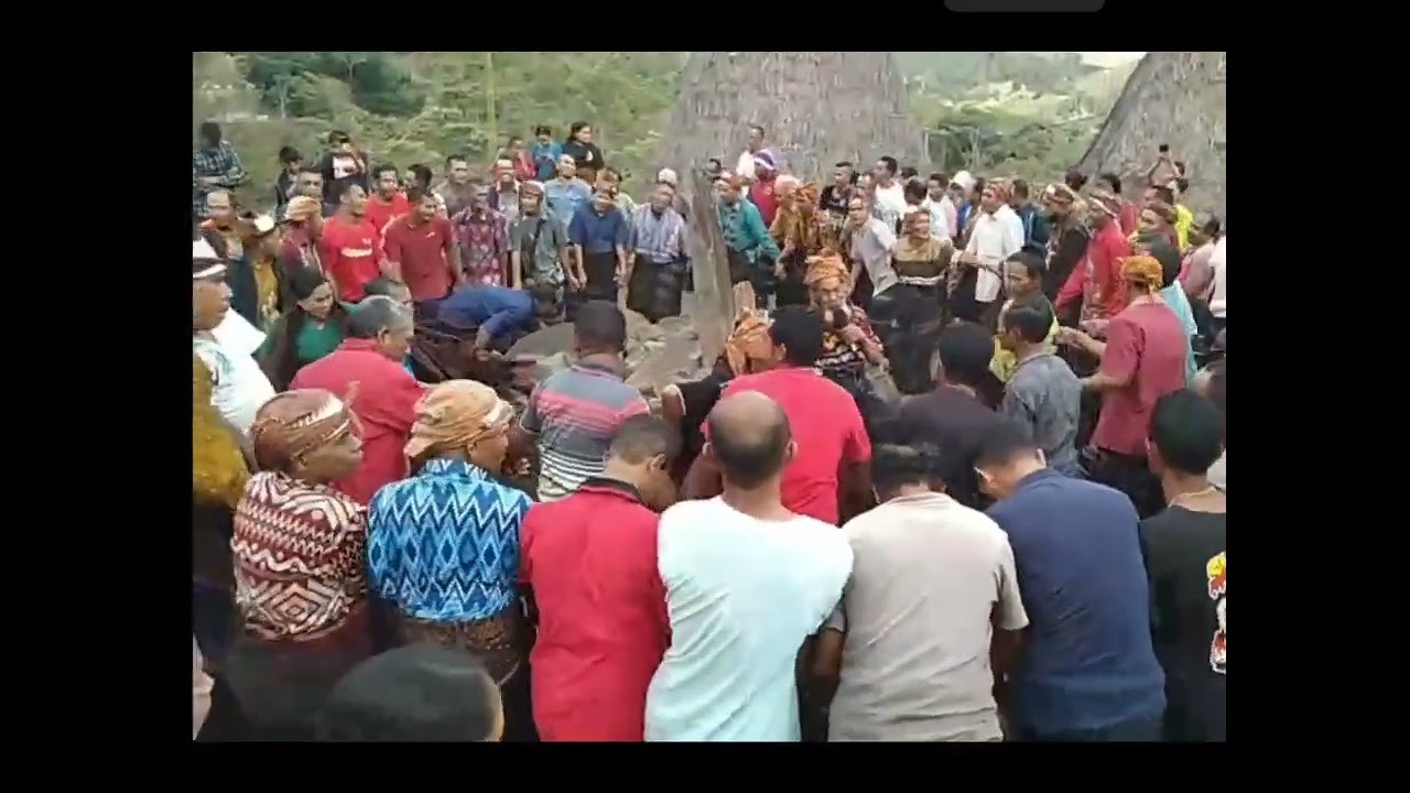 Gawi adat Kampung wologai