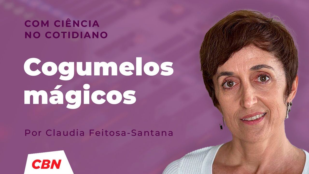 Cogumelos para depressão? De acordo com a neurociência, muita calma nessa hora