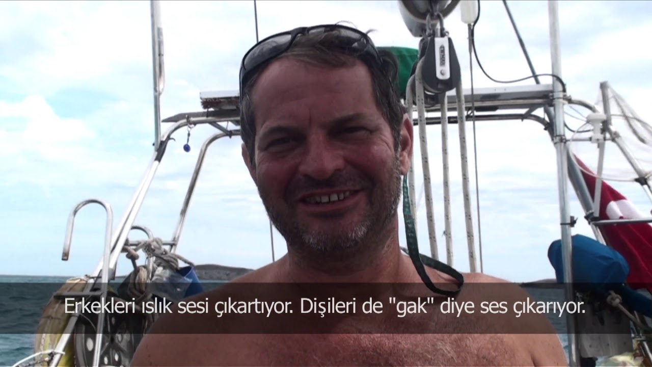 Uzaklar II Belgeseli - 24. Bölüm