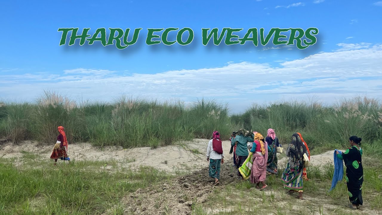 THARU ECO WEAVES // SHORT DOCUMENTARY FILM 2024.
