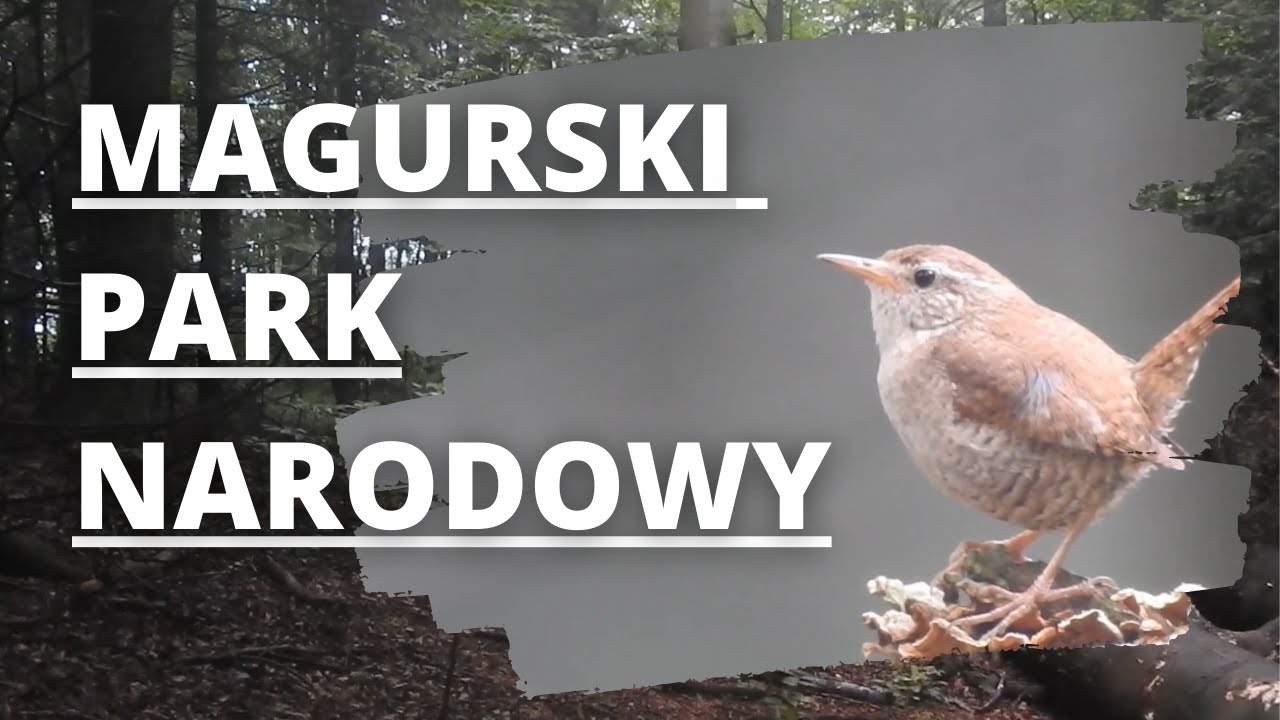 Magurski Park Narodowy