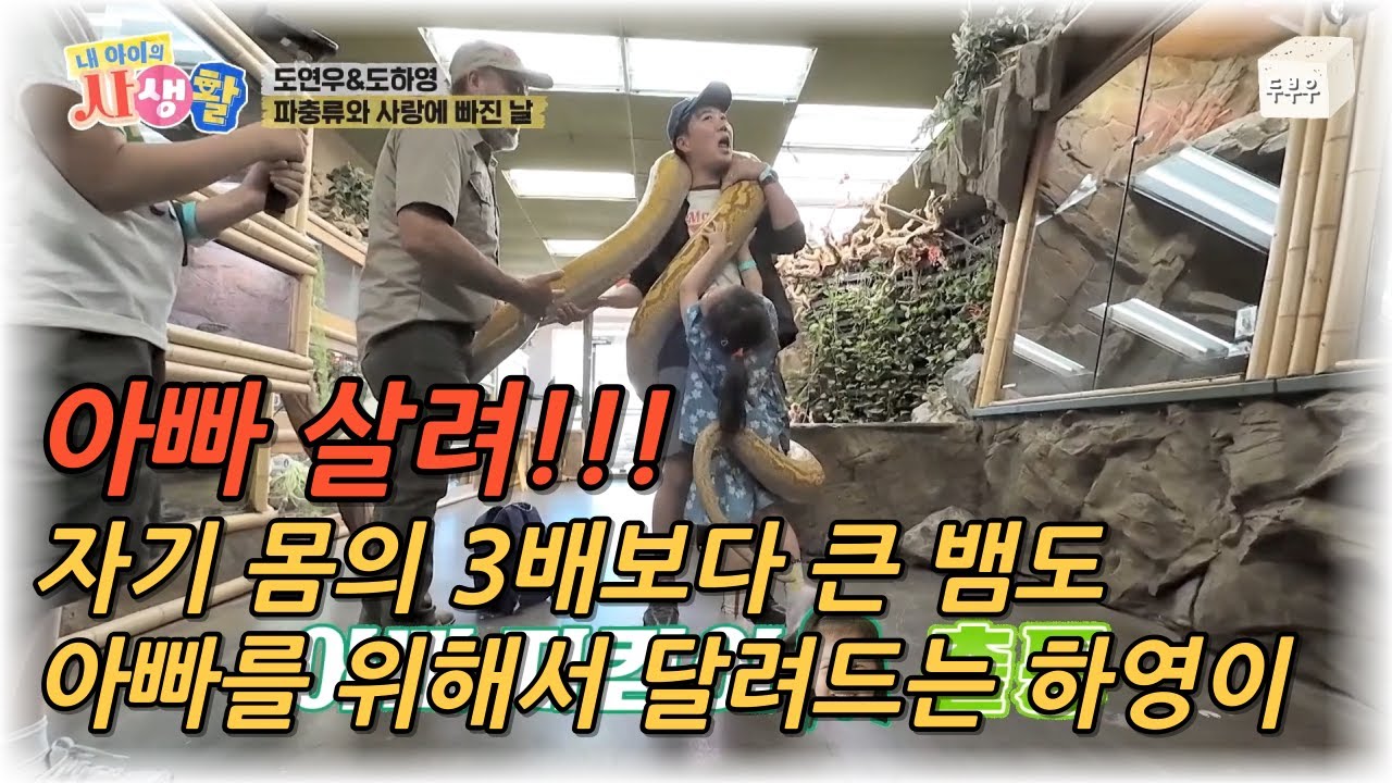 내 아이의 사생활 제 7화 : 아빠가 위험해!! 아빠를 위해서 자기보다 3배는 더 큰 뱀에게 달려드는 하영이!! #내아이의사생활 #02hby