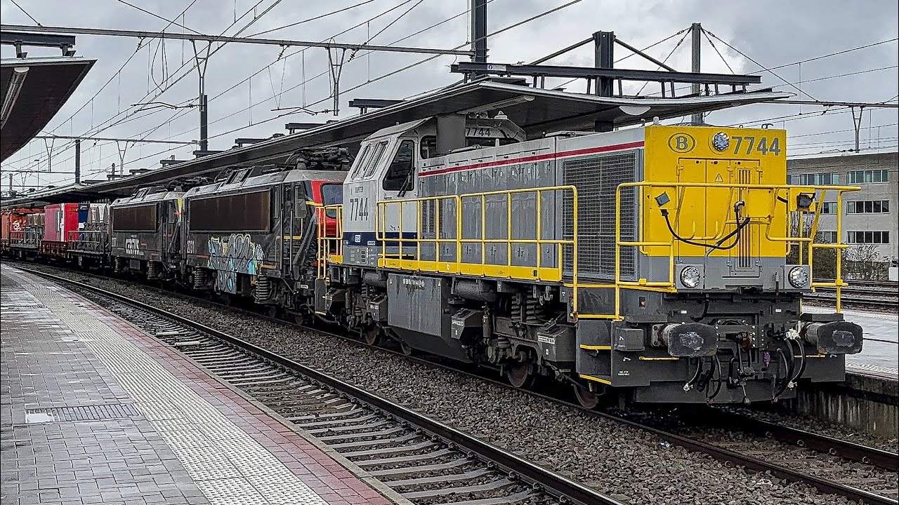 Trains at Vilvoorde Station (4K) 11-02-26
