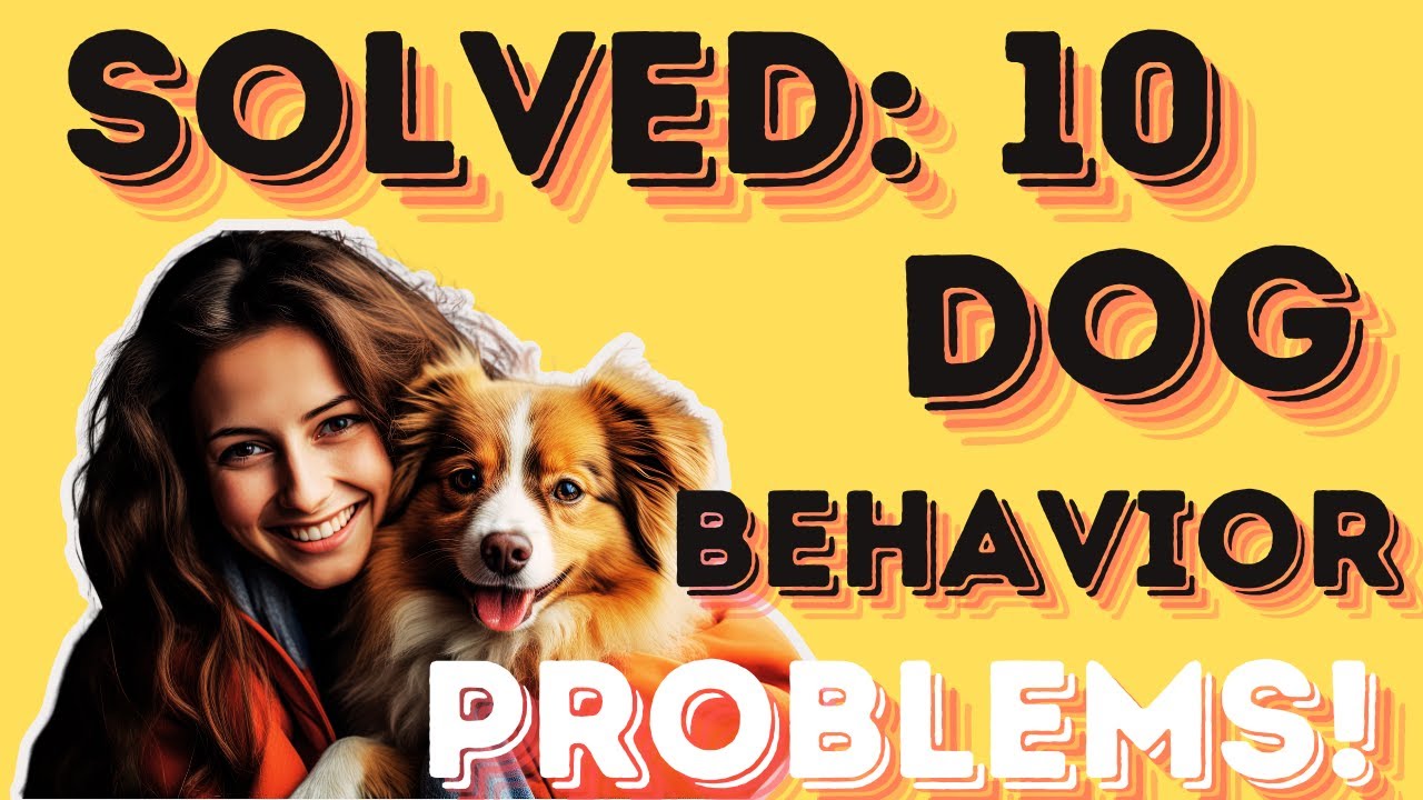 Solved: 10 Dog Behavior Problems!