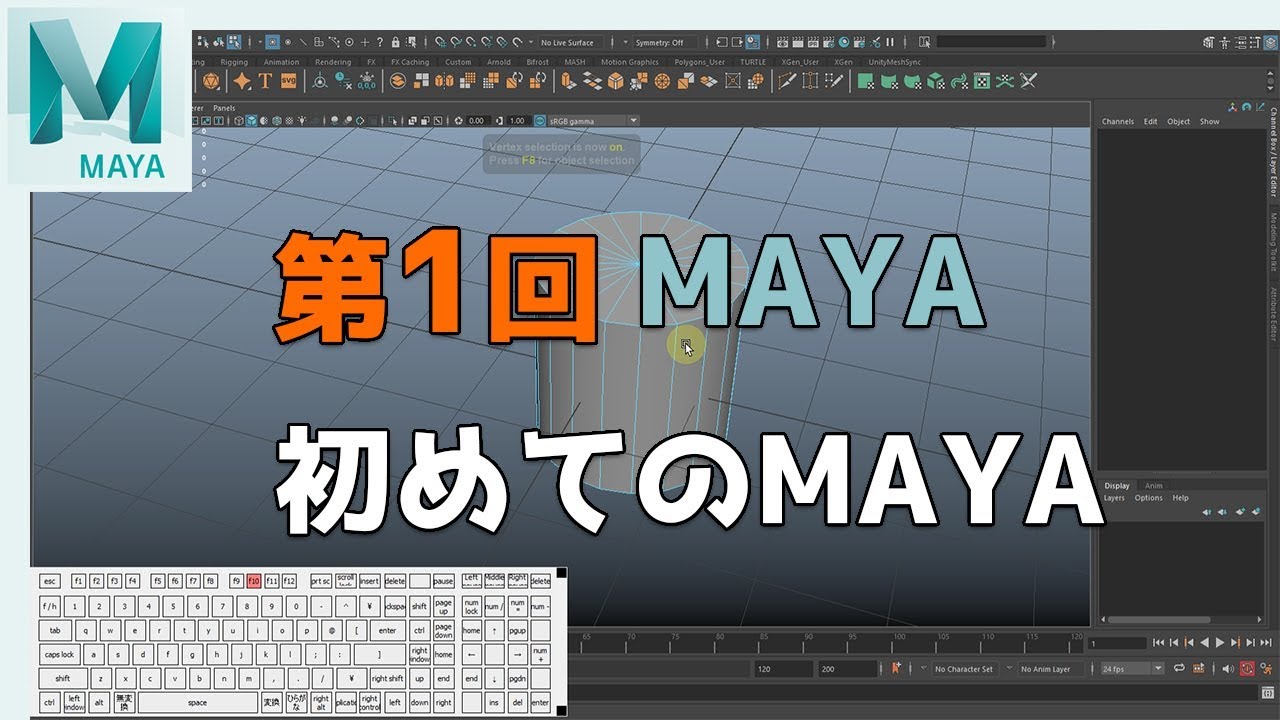 【第1回】Maya：超初心者向けよく使う操作について【ネクストんCG】