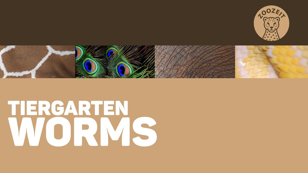 Tiergarten Worms • kleiner Park, große Entdeckungen!