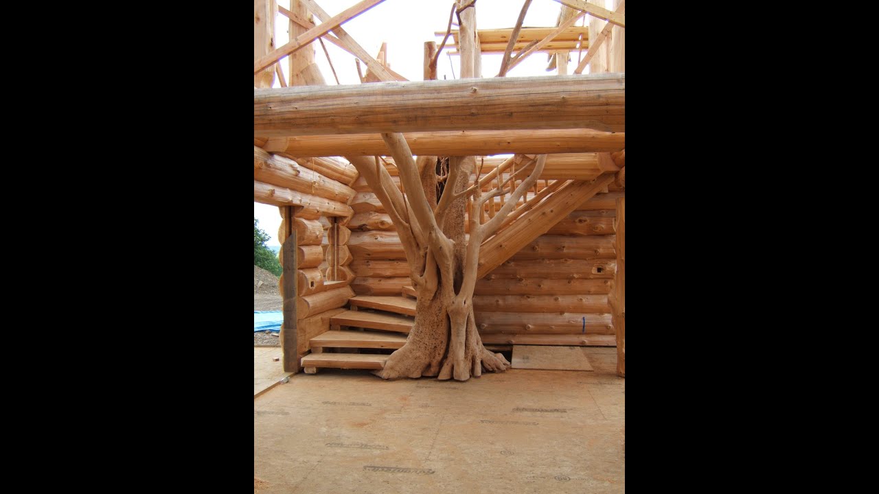 Spectacular ~ Log Stairs with a Tree!