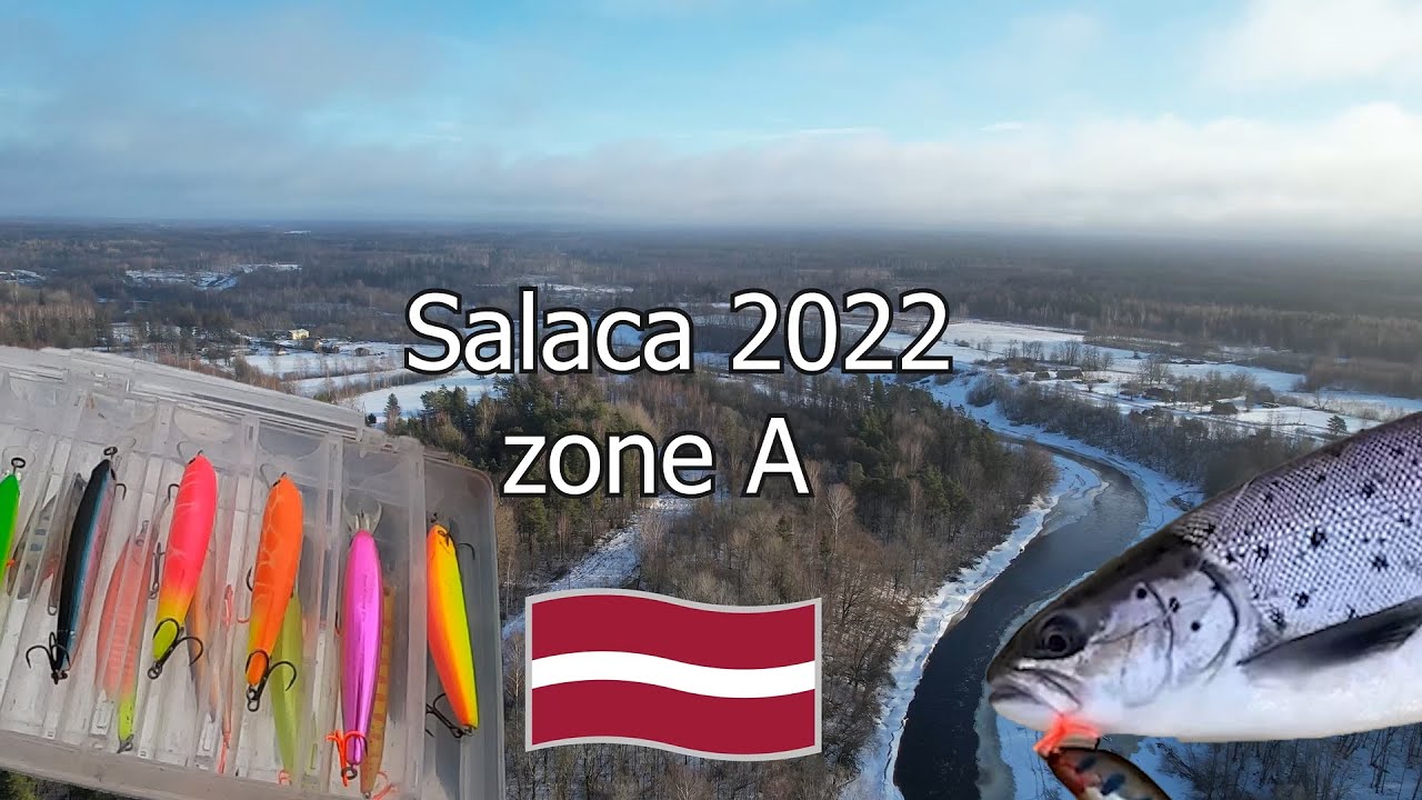 Salmon fishing in Latvia #Salaca 2022