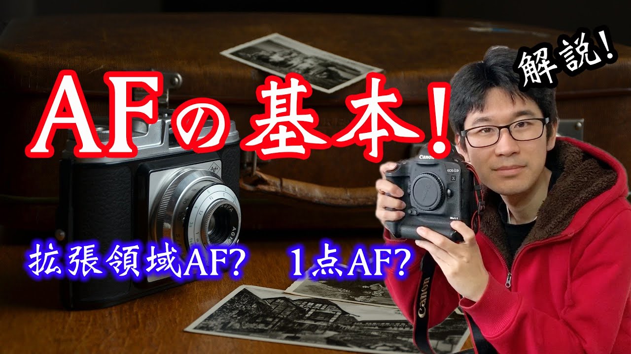 【初心者向け！AFの基本！】AF設定！確実なピントの合わせ方！！領域拡大AF？１点AF？ 【カメラ】【写真】【オートフォーカス】