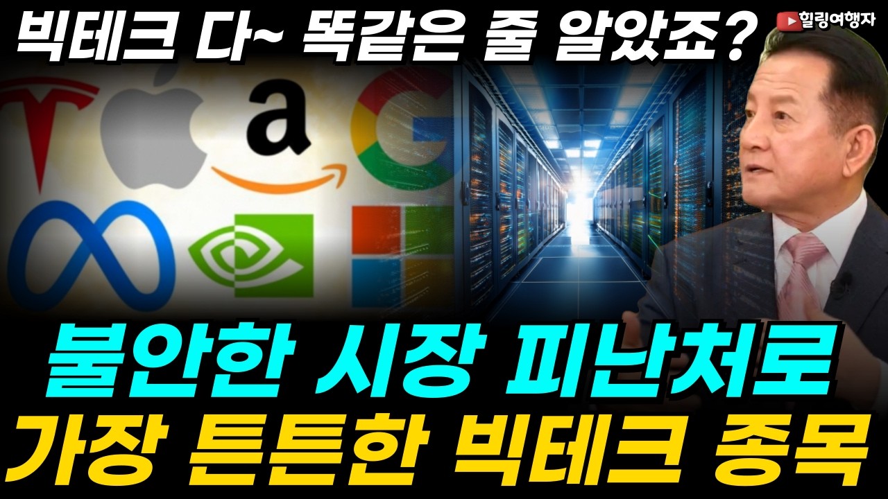 빅테크 다~ 똑같은 줄 알았죠? 계좌 녹아내리기 전에 반드시 알아야 할 옥석 가리기, 불안한 시장 피난처로 가장 튼튼한 종목은?