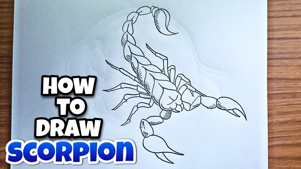 How to draw a scorpion - easy drawing