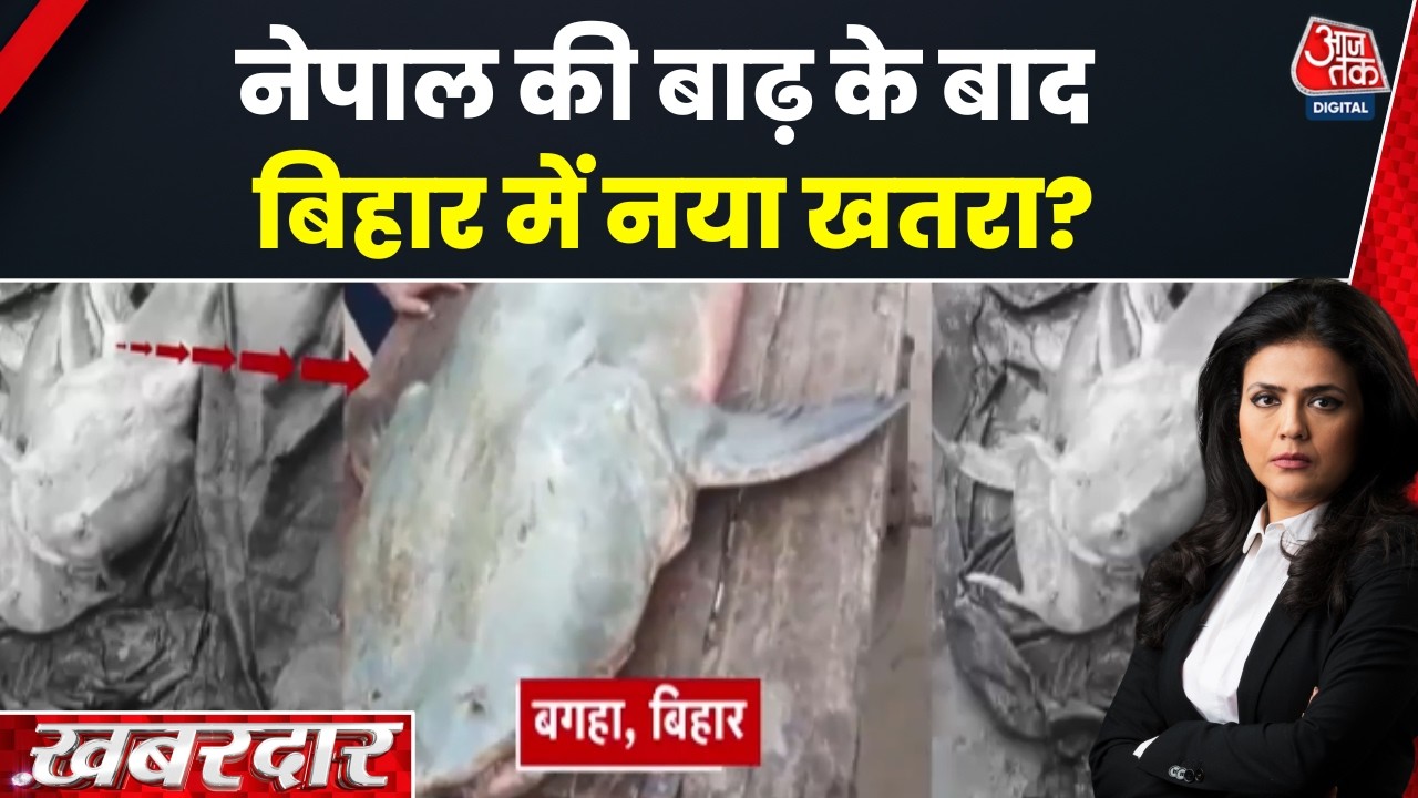 Khabardar with Sweta Singh: Unusual fish found in Gandak after flood from Nepal | Gandak River