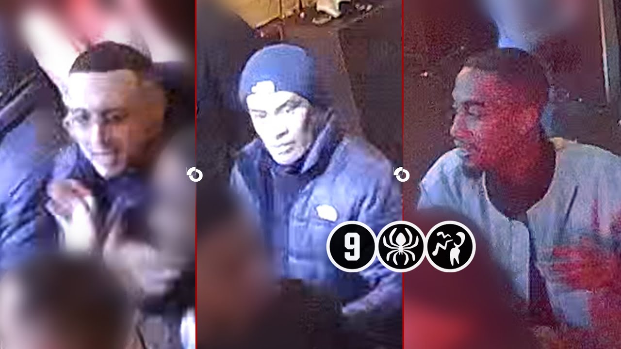 Daders gezocht van geweld in caf&eacute; aan de Koemarkt | Purmerend