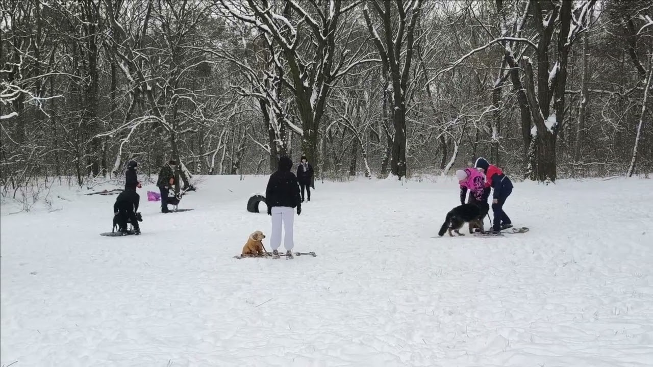 Керчь  Прогулка по заснеженному городу
