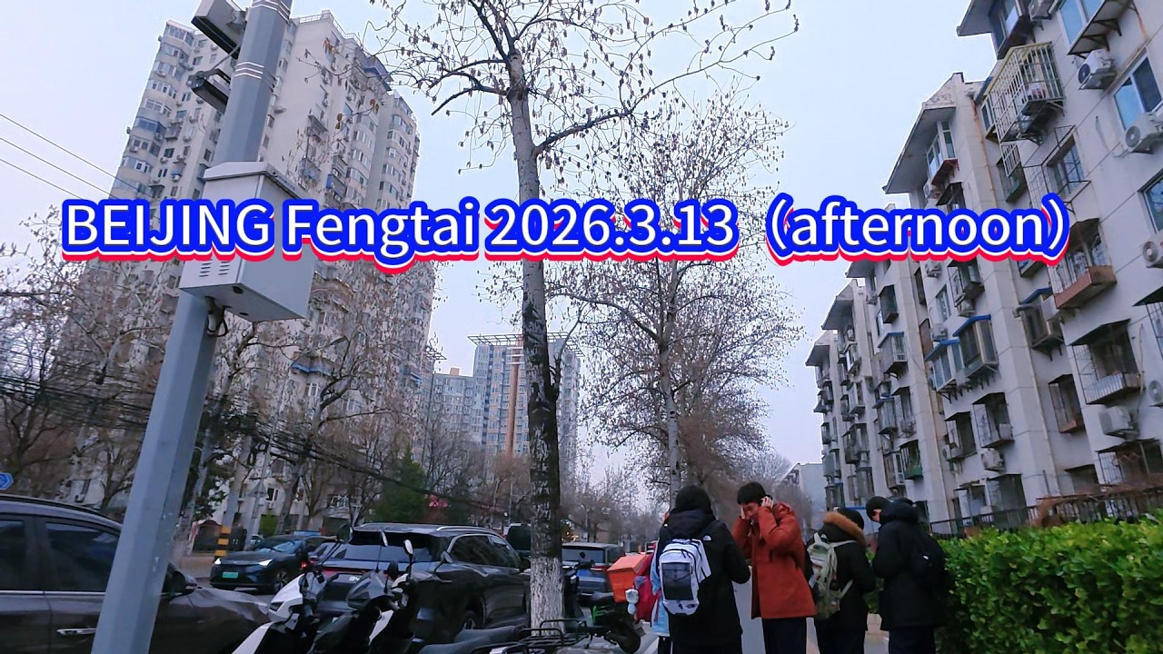 BEIJING Fengtai 2026.3.13（afternoon）