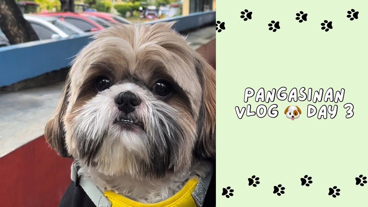 Pangasinan Vlog 🐶🐾 Day 3