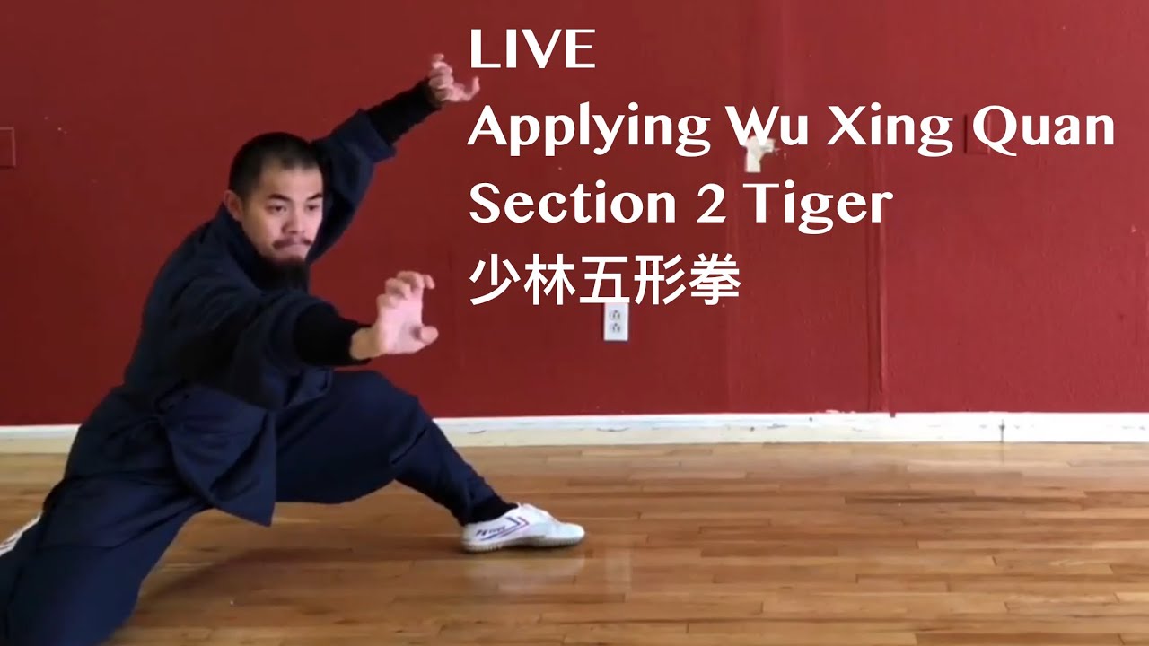 Applying Wu Xing Quan | LIVE | Sections 2 Tiger