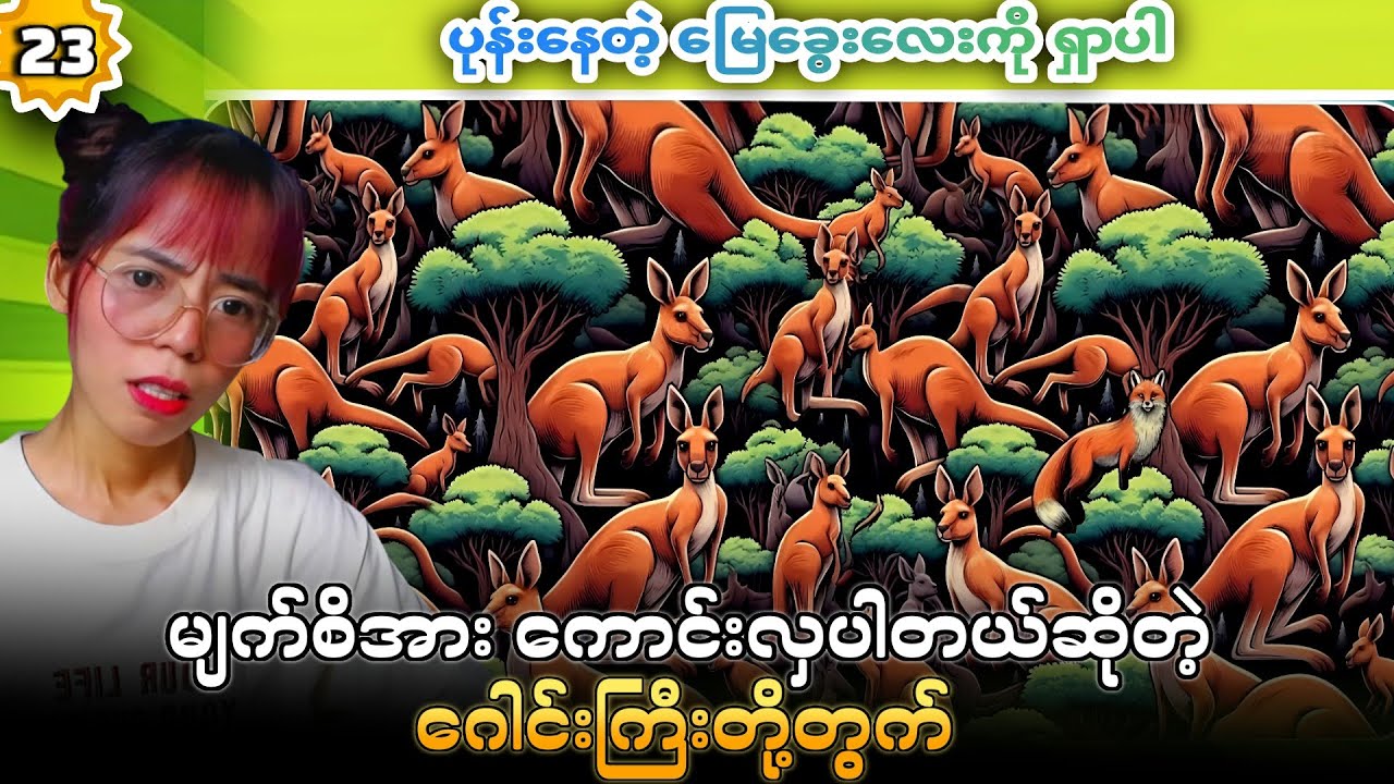 သာမာန်လူတွေလုံးဝရှာနိုင်မှာ မဟုတ်တဲ့ ခက်ခဲသောပုံများ အပိုင်း (၂၃)🧐🧐🧐