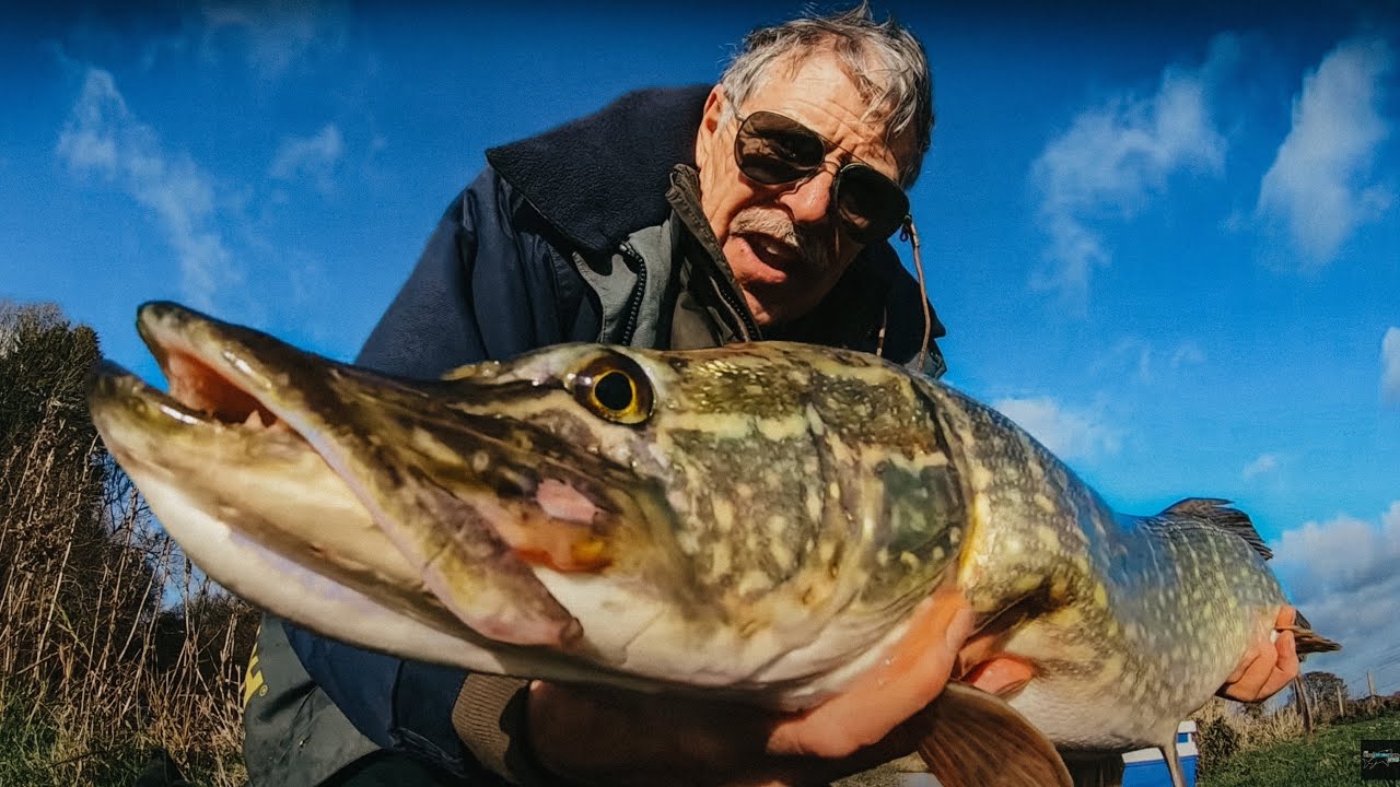 Pike Fishing Rivers - Big Fish in 5 Minutes!