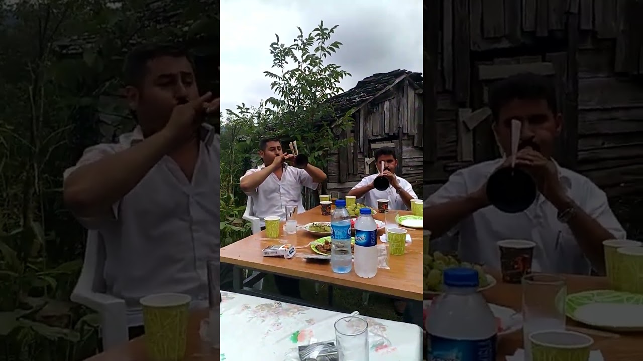 AKYÜZ KARDEŞLER #davul #davulzurna #zurna #ayancık