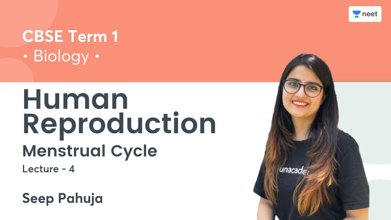 Human Reproduction | Menstrual Cycle | L4 | Term 1 | Unacademy NEET | Seep Pahuja
