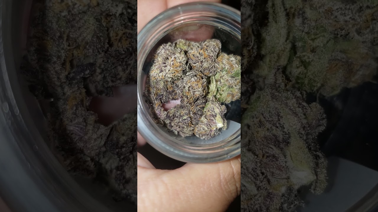 GUAVA GELATO STRAIN #whatsinyourbag?