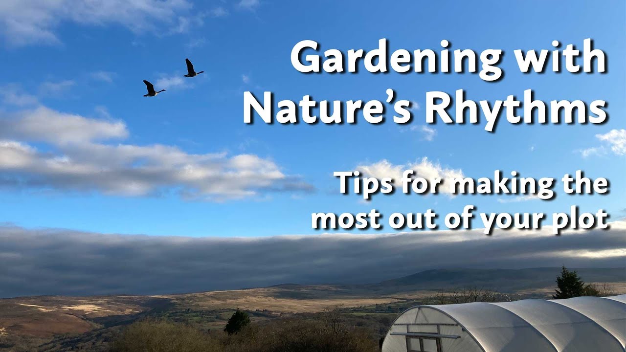 How to Garden with the Seasons | Liz Zorab shares her tips for making the most out of your plot