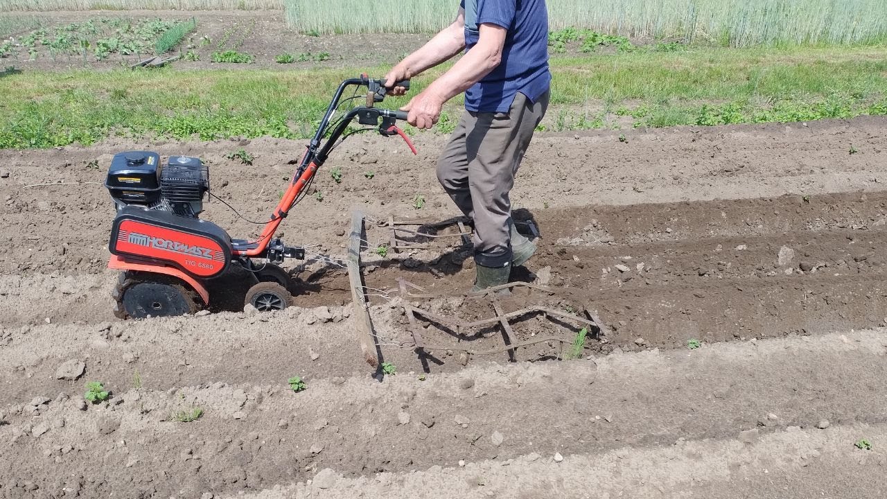 Bronowanie ziemniaków glebogryzarka 2025. Własna konstrukcja
