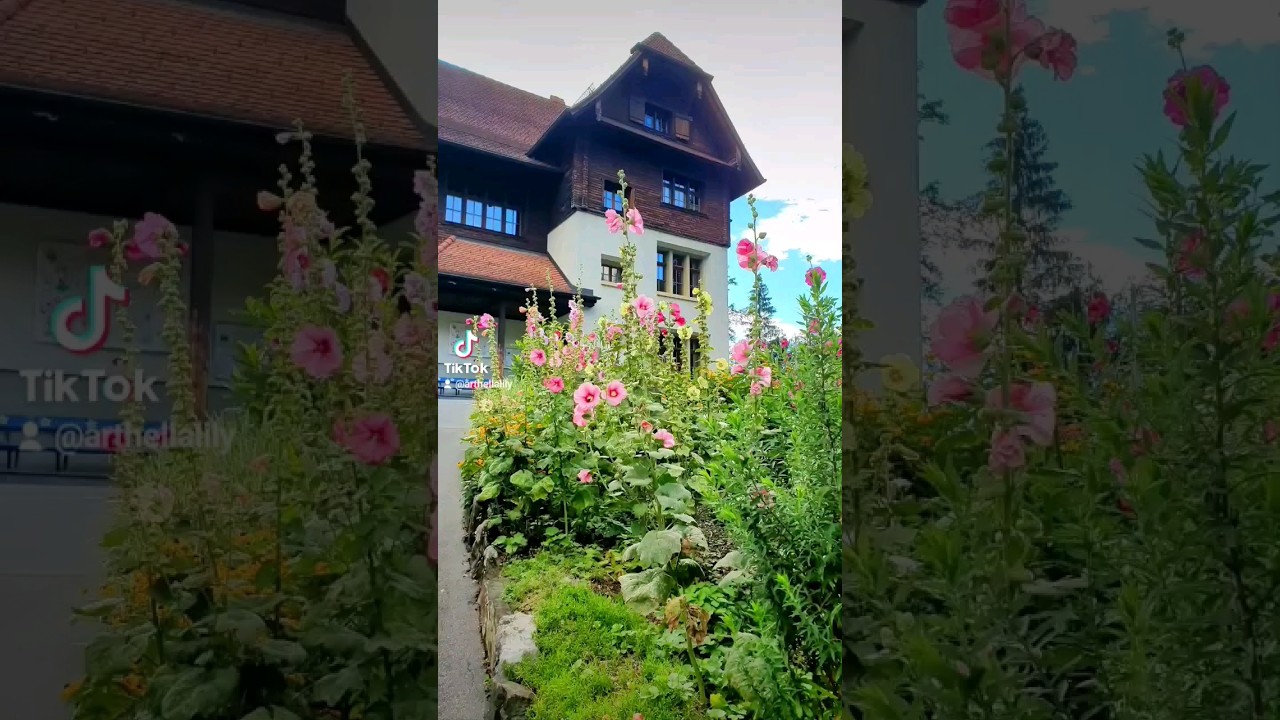 Swiss Village #switzerland #flowers #summer #swissnature #village #travel #jalanjalan #bunga #pov