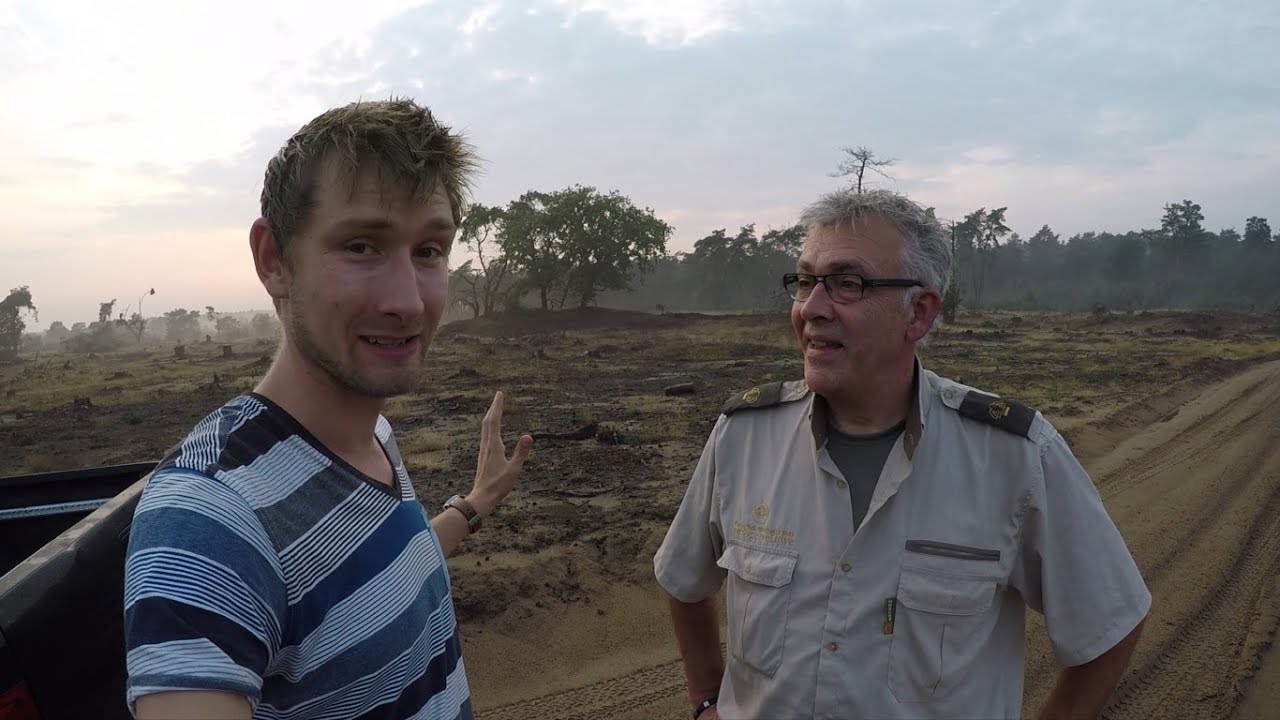 #66: Op stap op de Hoge Veluwe met boswachter Henk Ruseler