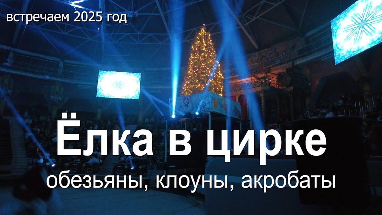 Ёлка в цирке Обезьяны, клоуны, акробаты