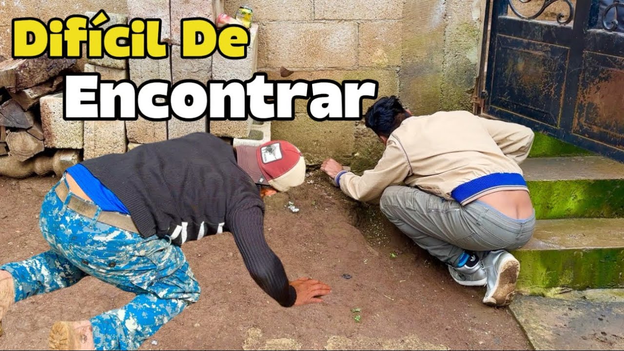 ‼️ESCONDIMOS Un TESORO, Todos Se PUSIERON A Buscarlo👍🏼