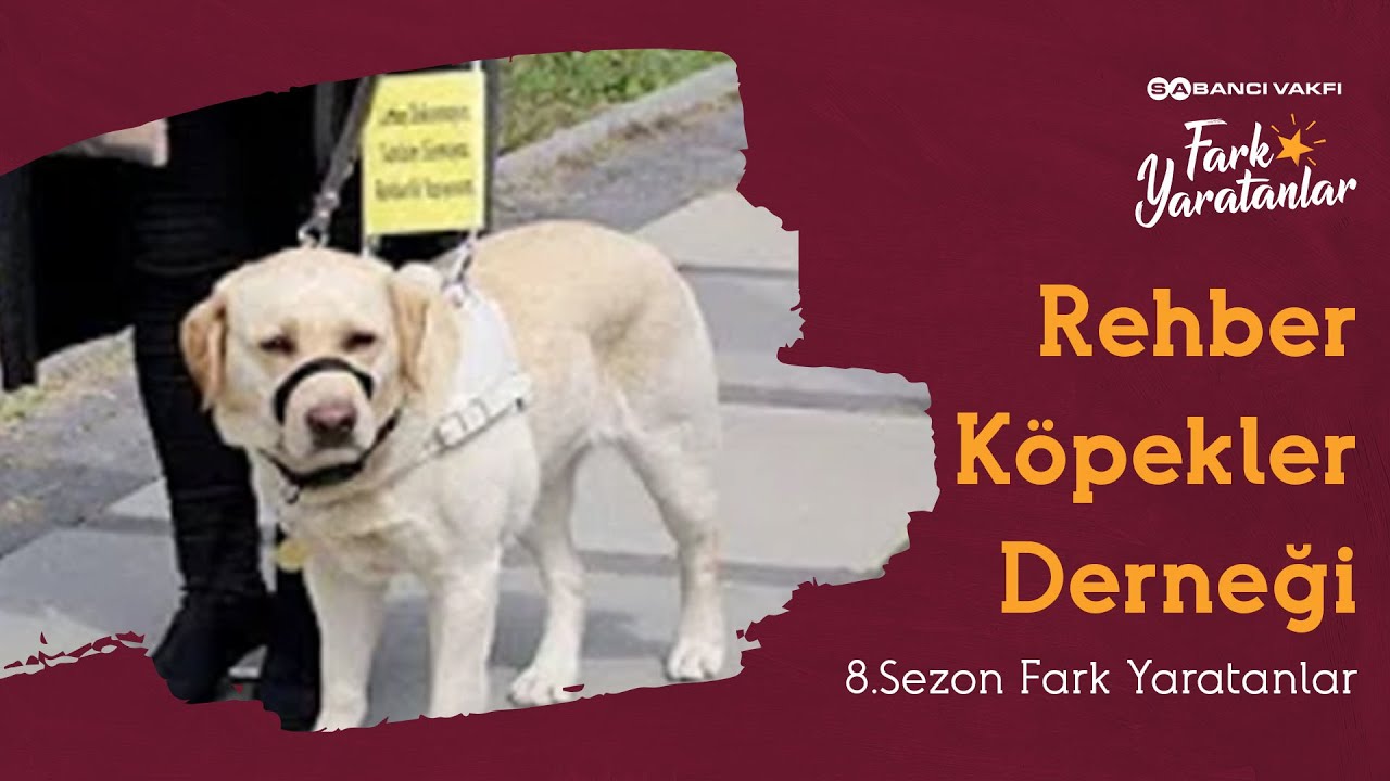 Rehber Köpekler Derneği | 8. Sezon | Fark Yaratanlar