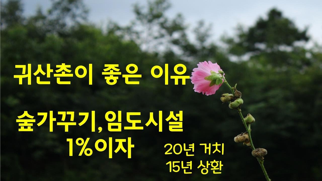 귀농보다 귀산촌이 좋은 이유, 1%이자로 20년 거치 15년 상환?  거저지 거저! 귀산촌 정보