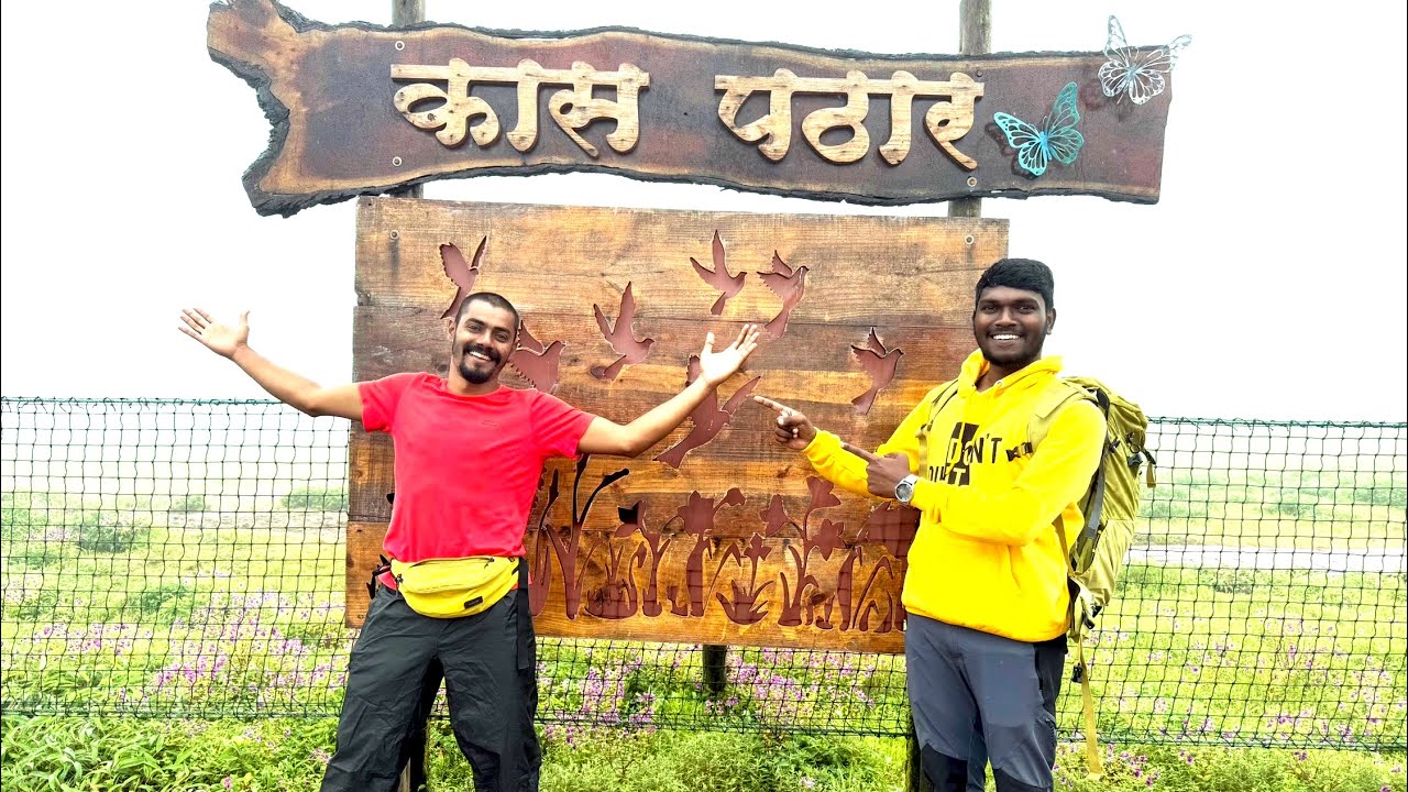 कास पठार भटकताना Maharashtra’s valley of flowers #kaspathar 